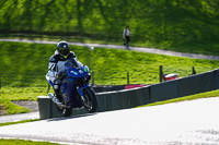 Lower Group Blue Bikes